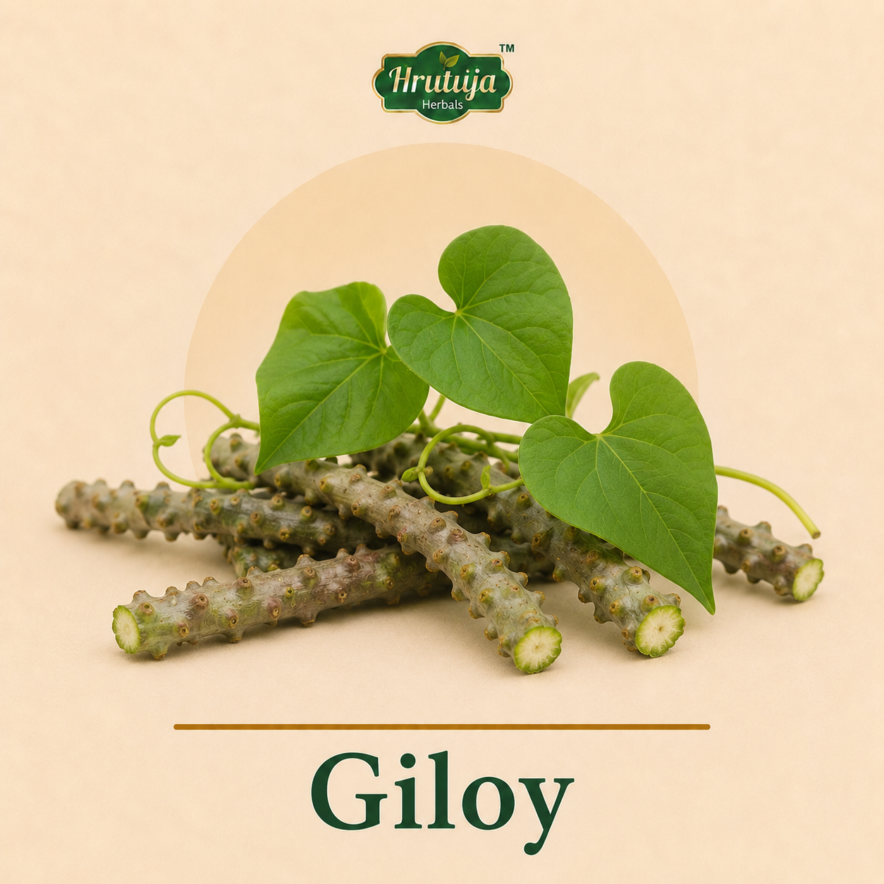 Giloy