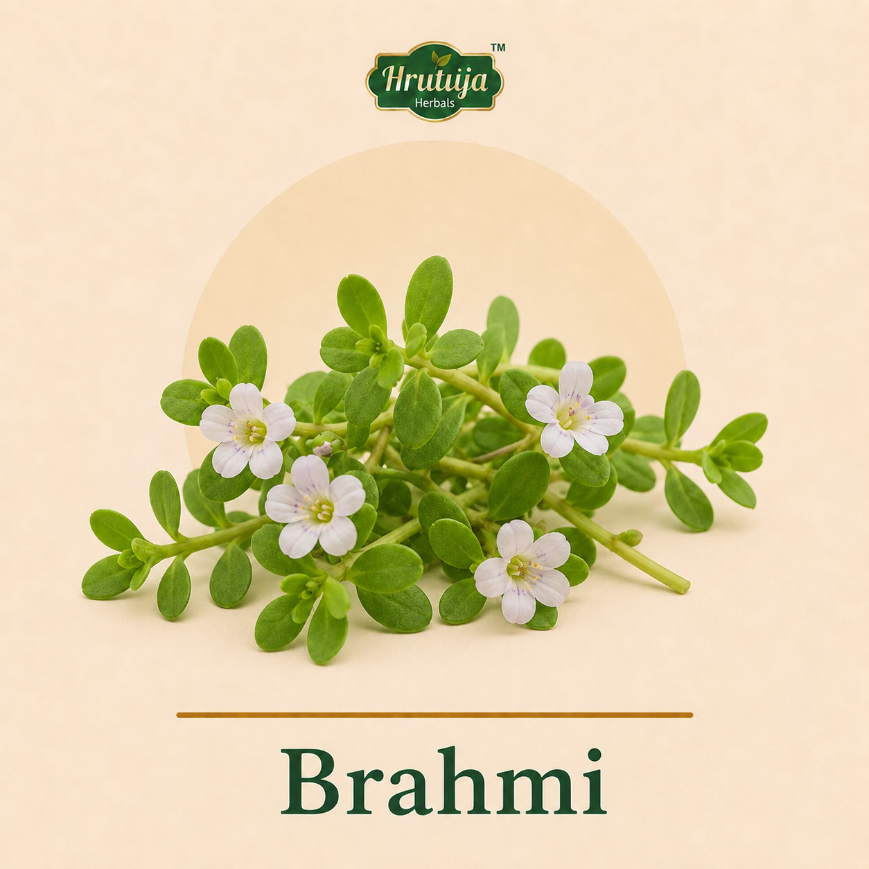 Brahmi